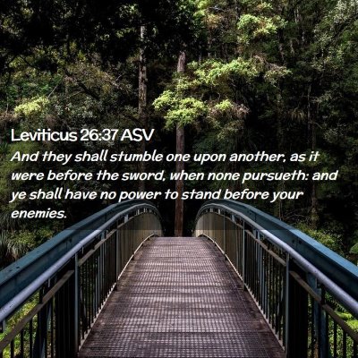 Picture 02 - Leviticus 26:37 ASV - And they shall stumble one upon another, as it - Bible Verse Picture