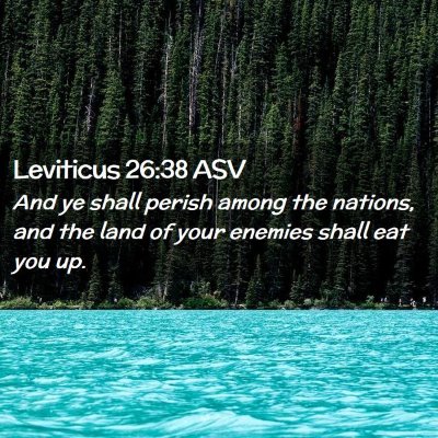 Picture 02 - Leviticus 26:38 ASV - And ye shall perish among the nations, and the - Bible Verse Picture