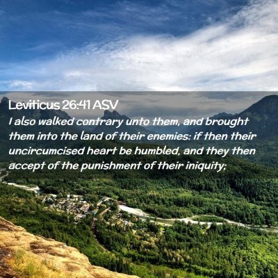 Picture 02 - Leviticus 26:41 ASV - I also walked contrary unto them, and brought - Bible Verse Picture