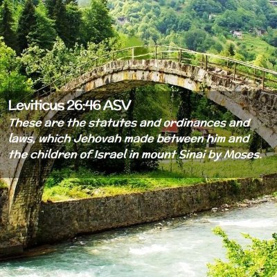 Picture 02 - Leviticus 26:46 ASV - These are the statutes and ordinances and laws, - Bible Verse Picture