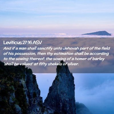 Picture 02 - Leviticus 27:16 ASV - And if a man shall sanctify unto Jehovah part of - Bible Verse Picture