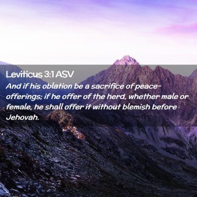 Picture 02 - Leviticus 3:1 ASV - And if his oblation be a sacrifice of - Bible Verse Picture