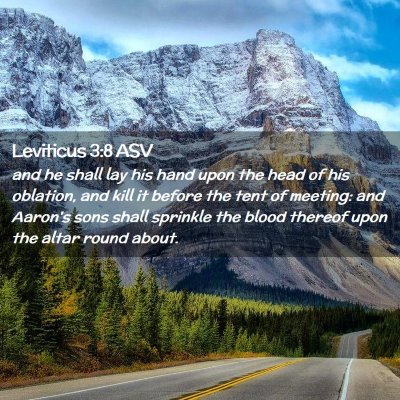 Picture 02 - Leviticus 3:8 ASV - and he shall lay his hand upon the head of his - Bible Verse Picture