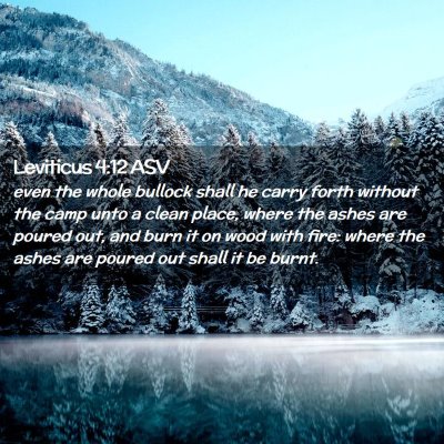 Picture 02 - Leviticus 4:12 ASV - even the whole bullock shall he carry forth - Bible Verse Picture