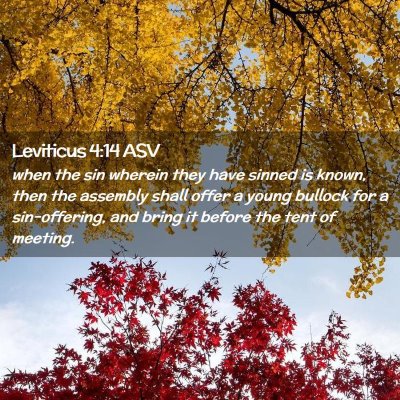 Picture 02 - Leviticus 4:14 ASV - when the sin wherein they have sinned is known, - Bible Verse Picture