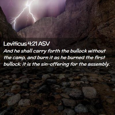 Picture 02 - Leviticus 4:21 ASV - And he shall carry forth the bullock without the - Bible Verse Picture