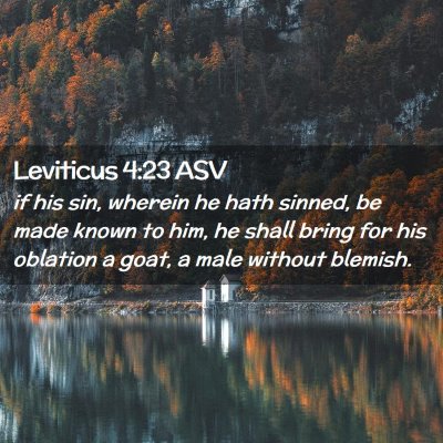 Picture 02 - Leviticus 4:23 ASV - if his sin, wherein he hath sinned, be made known - Bible Verse Picture