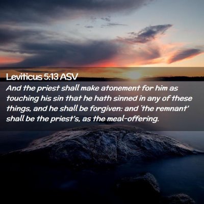Picture 02 - Leviticus 5:13 ASV - And the priest shall make atonement for him as - Bible Verse Picture