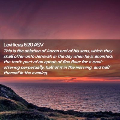 Picture 02 - Leviticus 6:20 ASV - This is the oblation of Aaron and of his sons, - Bible Verse Picture