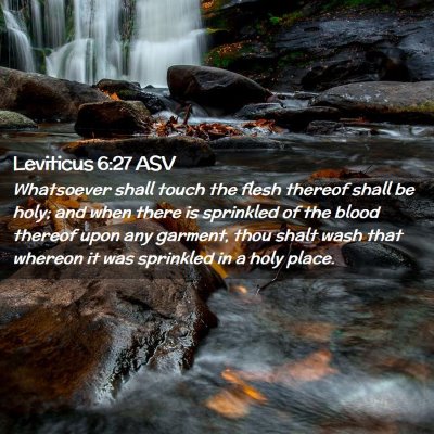 Picture 02 - Leviticus 6:27 ASV - Whatsoever shall touch the flesh thereof shall be - Bible Verse Picture