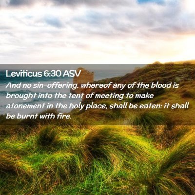Picture 02 - Leviticus 6:30 ASV - And no sin-offering, whereof any of the blood is - Bible Verse Picture