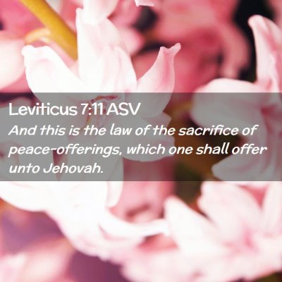 Picture 02 - Leviticus 7:11 ASV - And this is the law of the sacrifice of - Bible Verse Picture