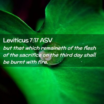 Picture 02 - Leviticus 7:17 ASV - but that which remaineth of the flesh of the - Bible Verse Picture