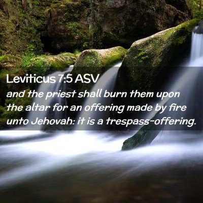 Picture 02 - Leviticus 7:5 ASV - and the priest shall burn them upon the altar for - Bible Verse Picture