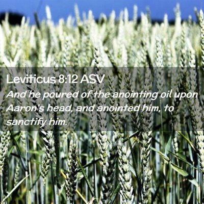 Picture 02 - Leviticus 8:12 ASV - And he poured of the anointing oil upon Aaron's - Bible Verse Picture