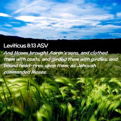 Picture 02 - Leviticus 8:13 ASV - And Moses brought Aaron's sons, and clothed them - Bible Verse Picture
