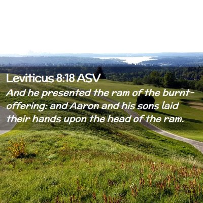 Picture 02 - Leviticus 8:18 ASV - And he presented the ram of the burnt-offering: - Bible Verse Picture