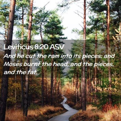 Picture 02 - Leviticus 8:20 ASV - And he cut the ram into its pieces; and Moses - Bible Verse Picture