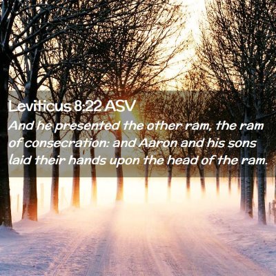 Picture 02 - Leviticus 8:22 ASV - And he presented the other ram, the ram of - Bible Verse Picture