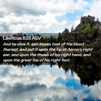 Picture 02 - Leviticus 8:23 ASV - And he slew it; and Moses took of the blood - Bible Verse Picture