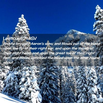 Picture 02 - Leviticus 8:24 ASV - And he brought Aaron's sons; and Moses put of the - Bible Verse Picture