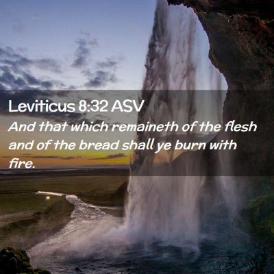 Picture 02 - Leviticus 8:32 ASV - And that which remaineth of the flesh and of the - Bible Verse Picture
