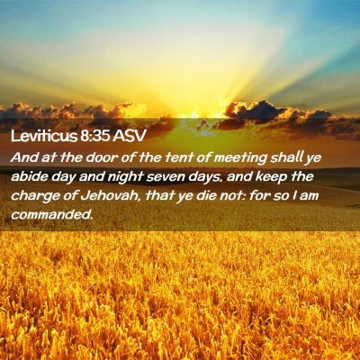 Picture 02 - Leviticus 8:35 ASV - And at the door of the tent of meeting shall ye - Bible Verse Picture