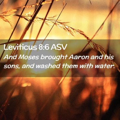 Picture 02 - Leviticus 8:6 ASV - And Moses brought Aaron and his sons, and washed - Bible Verse Picture