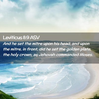 Picture 02 - Leviticus 8:9 ASV - And he set the mitre upon his head; and upon the - Bible Verse Picture