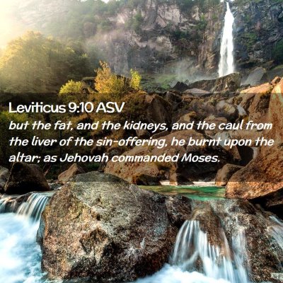 Picture 02 - Leviticus 9:10 ASV - but the fat, and the kidneys, and the caul from - Bible Verse Picture