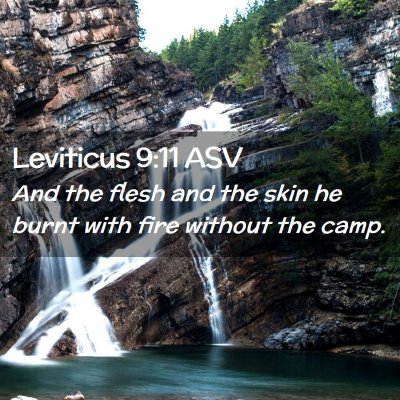 Picture 02 - Leviticus 9:11 ASV - And the flesh and the skin he burnt with fire - Bible Verse Picture