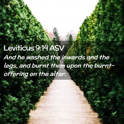 Picture 02 - Leviticus 9:14 ASV - And he washed the inwards and the legs, and burnt - Bible Verse Picture