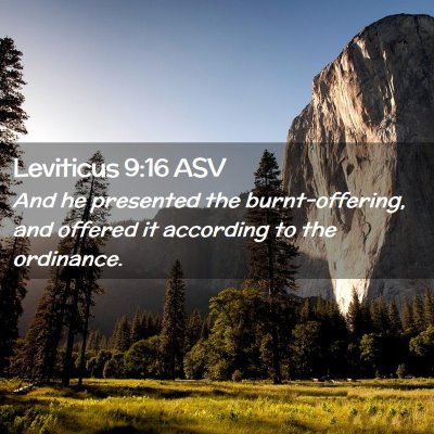 Picture 02 - Leviticus 9:16 ASV - And he presented the burnt-offering, and offered - Bible Verse Picture