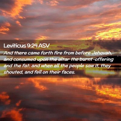 Picture 02 - Leviticus 9:24 ASV - And there came forth fire from before Jehovah, - Bible Verse Picture