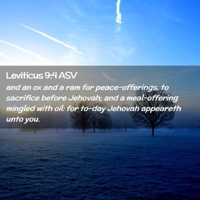 Picture 02 - Leviticus 9:4 ASV - and an ox and a ram for peace-offerings, to - Bible Verse Picture