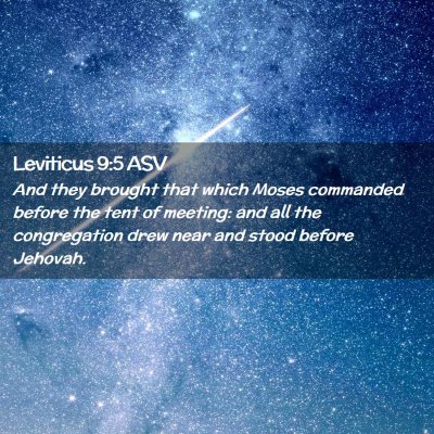 Picture 02 - Leviticus 9:5 ASV - And they brought that which Moses commanded - Bible Verse Picture