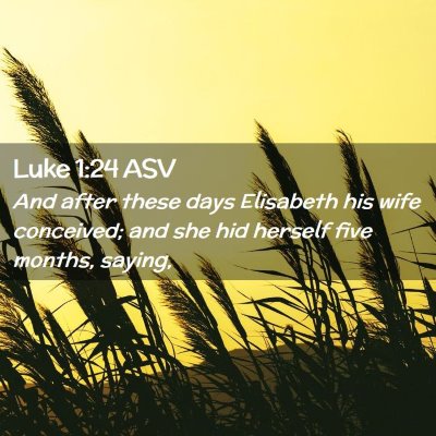 Picture 02 - Luke 1:24 ASV - And after these days Elisabeth his wife - Bible Verse Picture