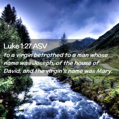 Picture 02 - Luke 1:27 ASV - to a virgin betrothed to a man whose name was - Bible Verse Picture