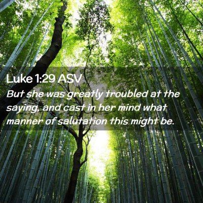 Picture 02 - Luke 1:29 ASV - But she was greatly troubled at the saying, and - Bible Verse Picture