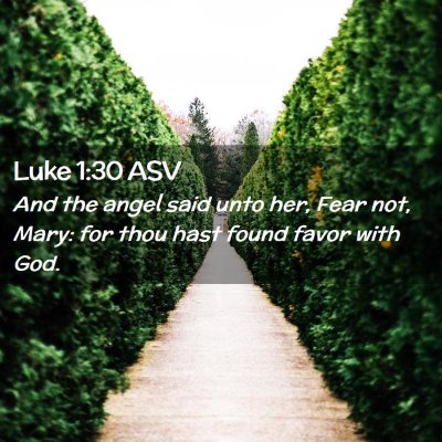 Picture 02 - Luke 1:30 ASV - And the angel said unto her, Fear not, Mary: for - Bible Verse Picture
