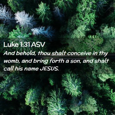 Picture 02 - Luke 1:31 ASV - And behold, thou shalt conceive in thy womb, and - Bible Verse Picture