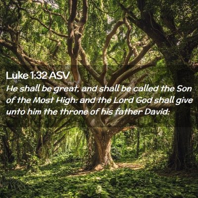 Picture 02 - Luke 1:32 ASV - He shall be great, and shall be called the Son of - Bible Verse Picture