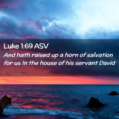 Picture 02 - Luke 1:69 ASV - And hath raised up a horn of salvation for us In - Bible Verse Picture