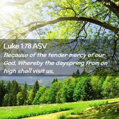 Picture 02 - Luke 1:78 ASV - Because of the tender mercy of our God, Whereby - Bible Verse Picture