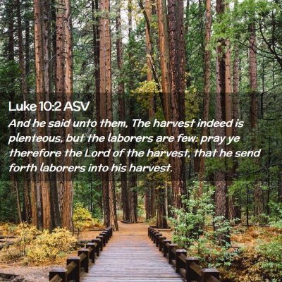 Picture 02 - Luke 10:2 ASV - And he said unto them, The harvest indeed is - Bible Verse Picture