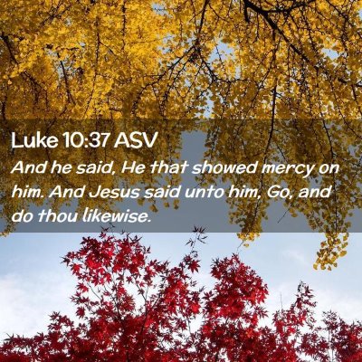 Picture 02 - Luke 10:37 ASV - And he said, He that showed mercy on him. And - Bible Verse Picture