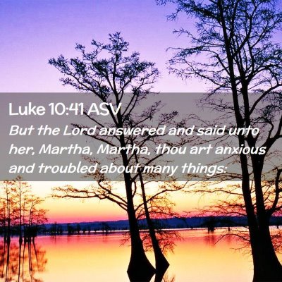 Picture 02 - Luke 10:41 ASV - But the Lord answered and said unto her, Martha, - Bible Verse Picture