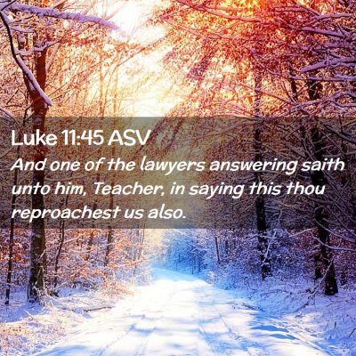 Picture 02 - Luke 11:45 ASV - And one of the lawyers answering saith unto him, - Bible Verse Picture