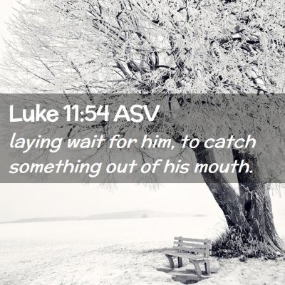 Picture 02 - Luke 11:54 ASV - laying wait for him, to catch something out of - Bible Verse Picture