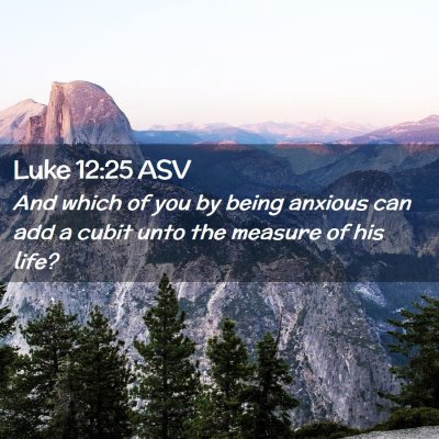 Picture 02 - Luke 12:25 ASV - And which of you by being anxious can add a cubit - Bible Verse Picture
